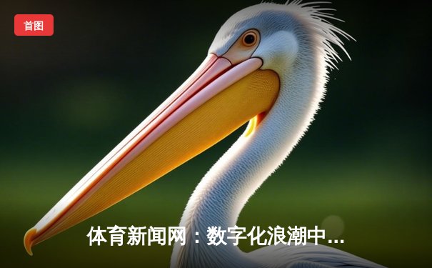 体育新闻网：数字化浪潮中的资讯革命与球迷新体验